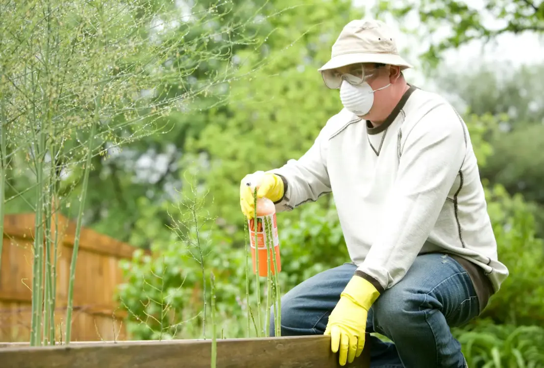 herbicida fertilizantes
