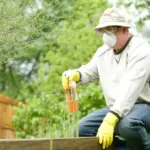 herbicida fertilizantes