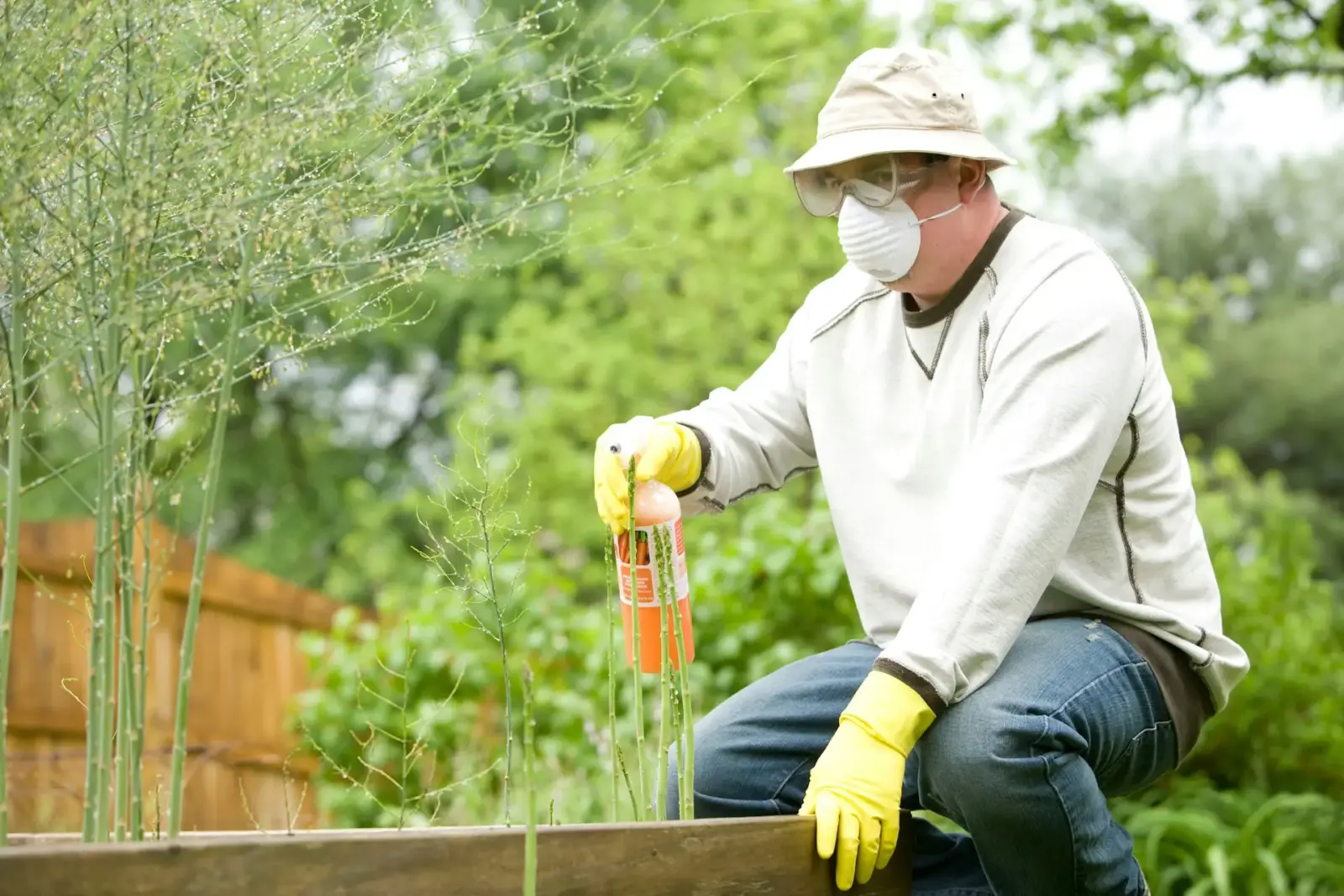 herbicida fertilizantes