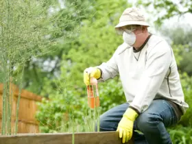 herbicida fertilizantes