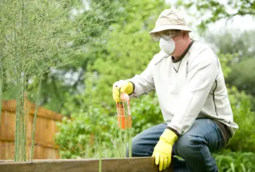 herbicida fertilizantes